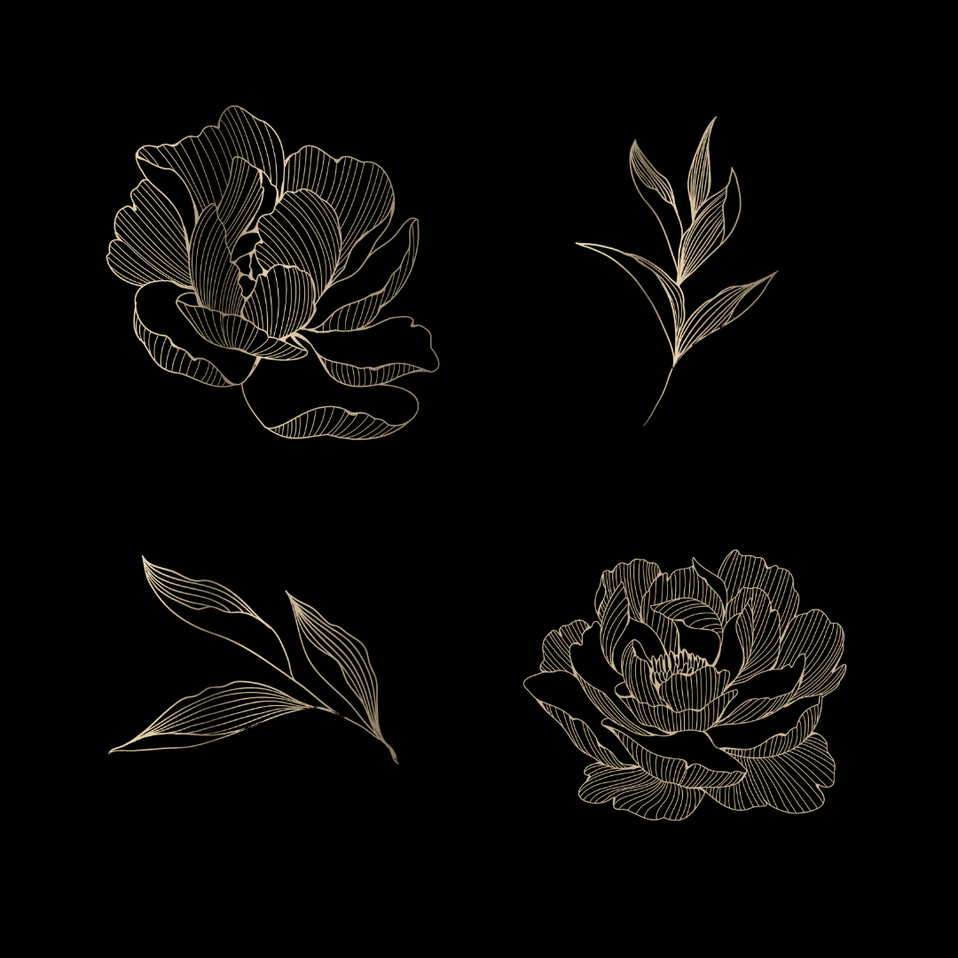 Custom Illustrations